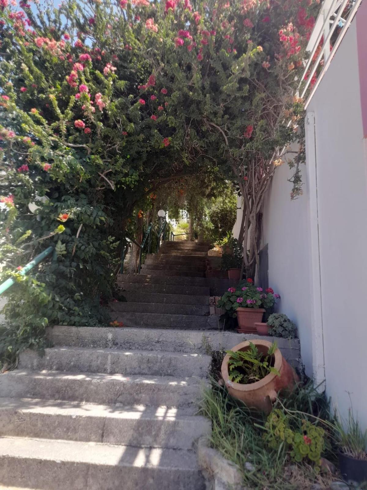Apartamento Camelia Plakias Exterior foto